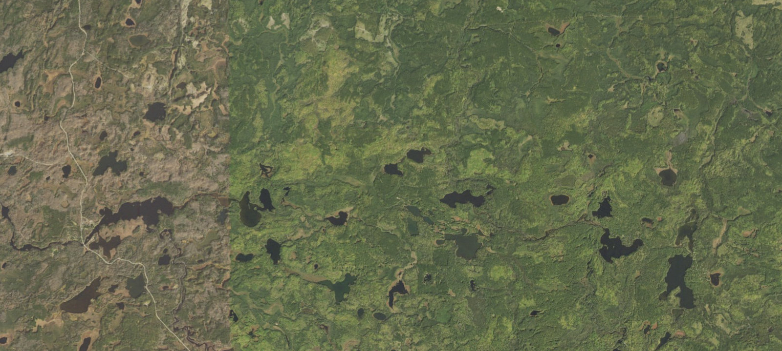 Map of Grass Lake