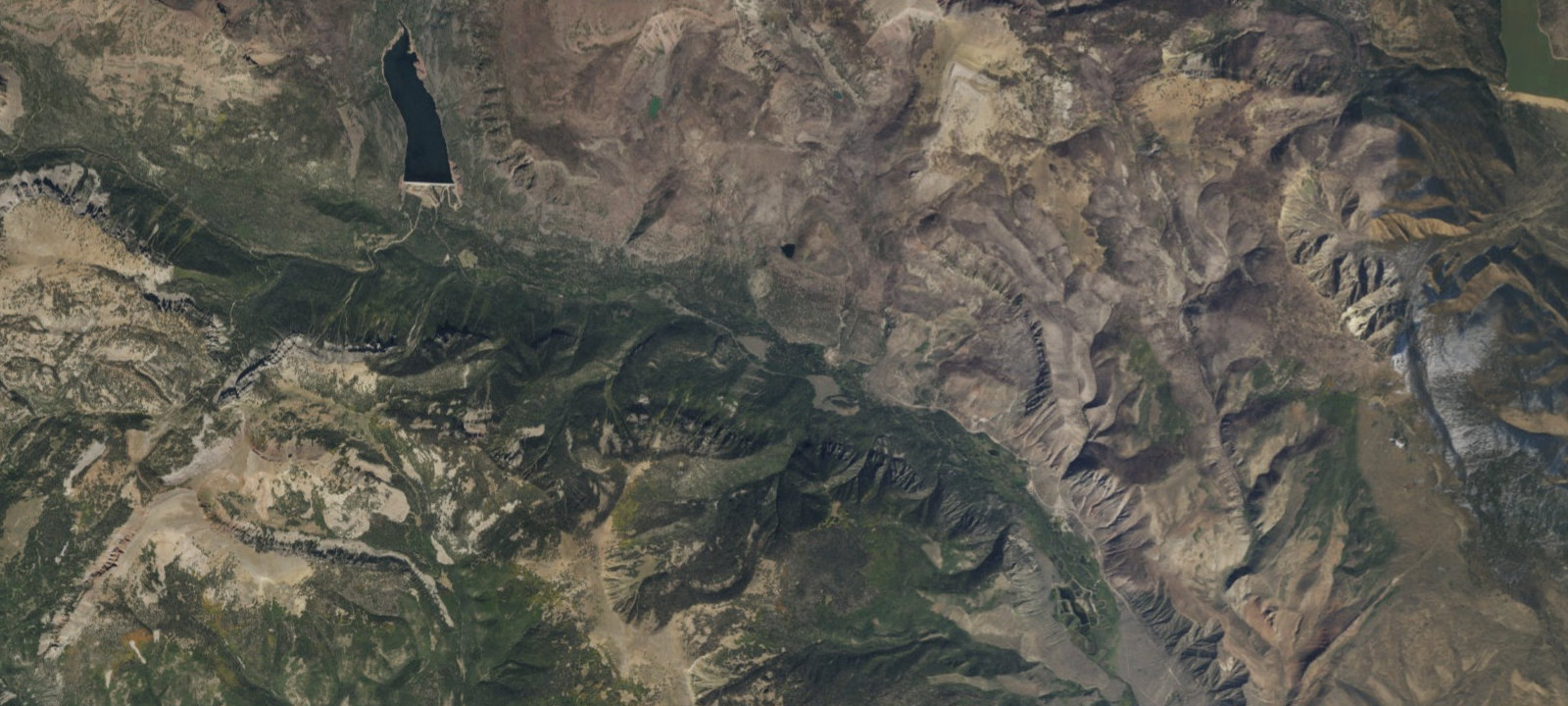 Map of Site 4
