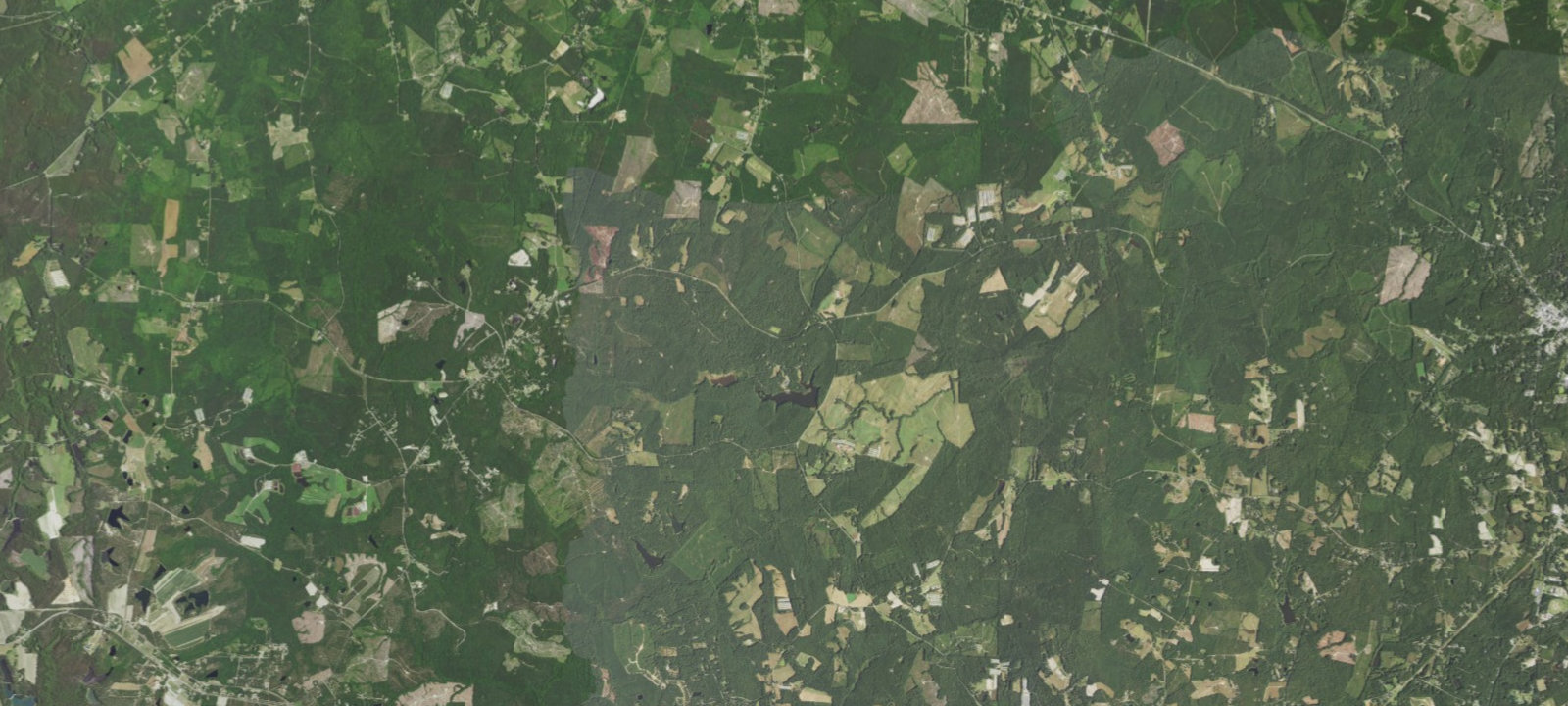 Map of Sweetgum Campsite