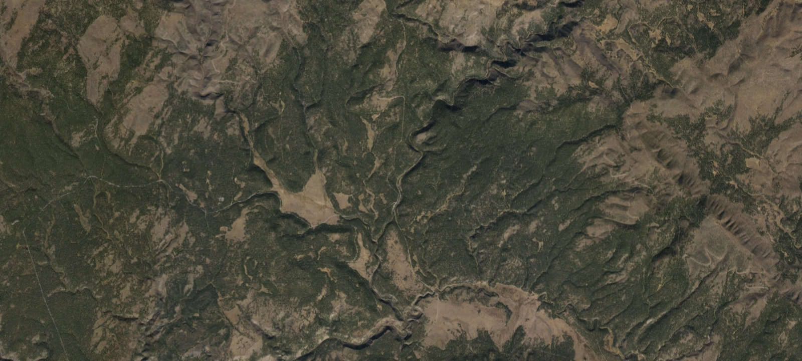 Map of Buffalo Crossing