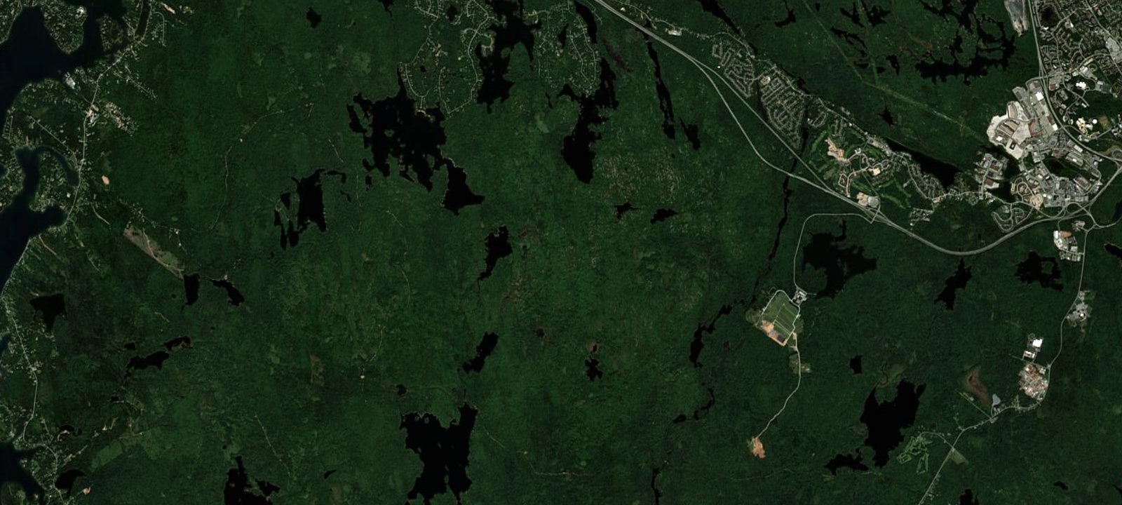 Map of squirrel