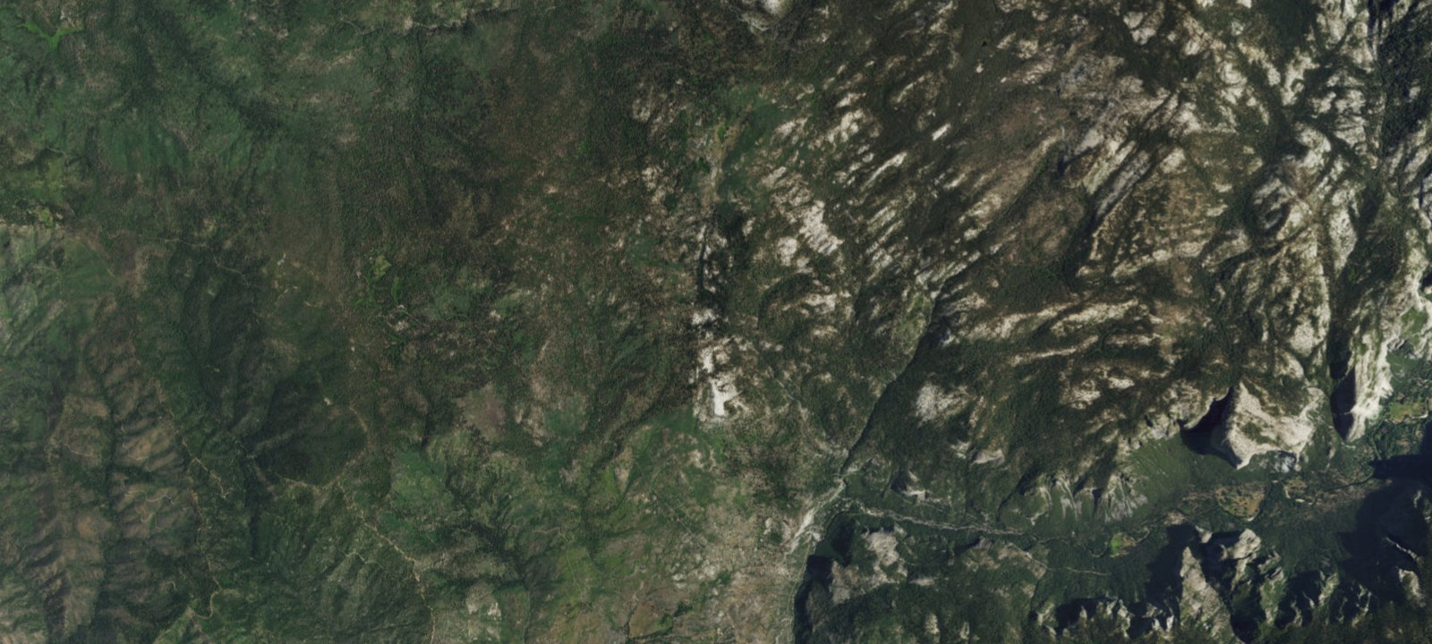 Map of Tamarack Flat Campground