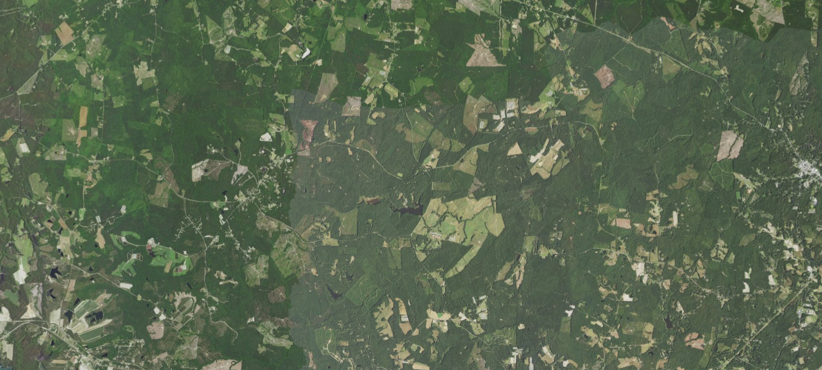 Map of Hickory Campsite