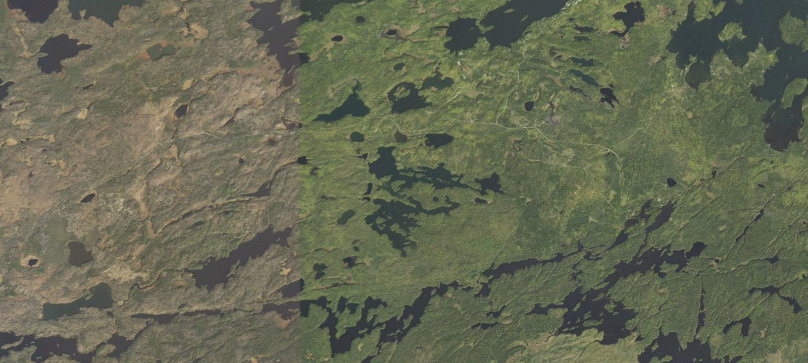 Map of Ojibway Lake Site 1