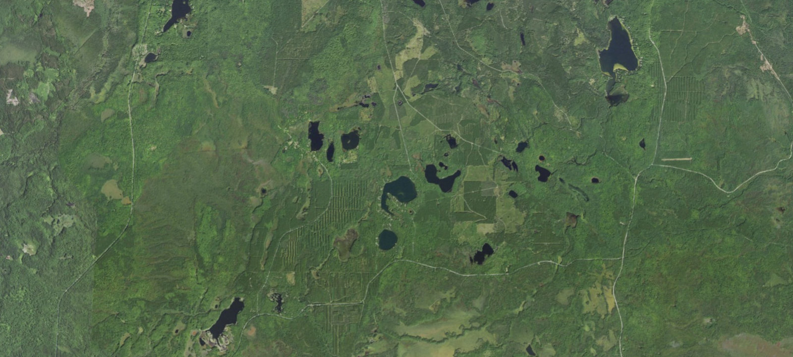 Map of Gooseneck Lake Campsites