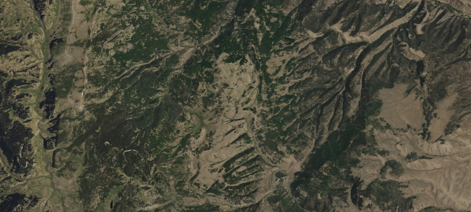 Map of Cruces Basin Campground