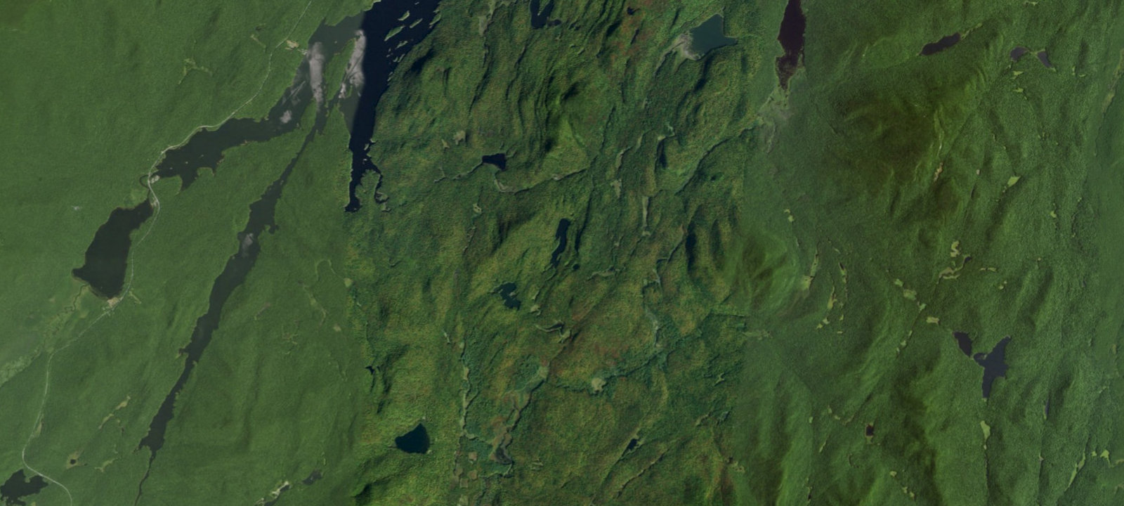 Map of Long Pond Site 2