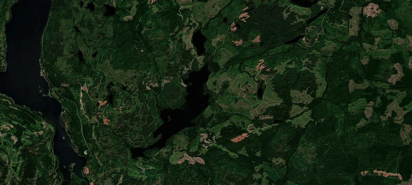 Map of Willington Point Campsite