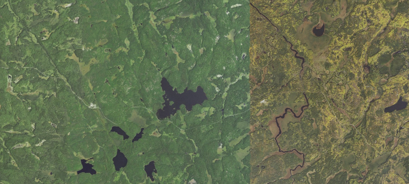 Map of Lake Jeanette Site 10