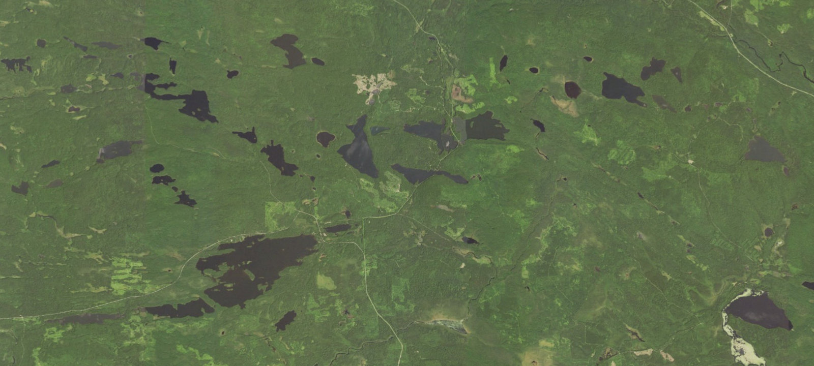 Map of Pine Lake Site 1