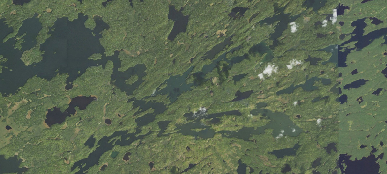 Map of campsite1 - Birch