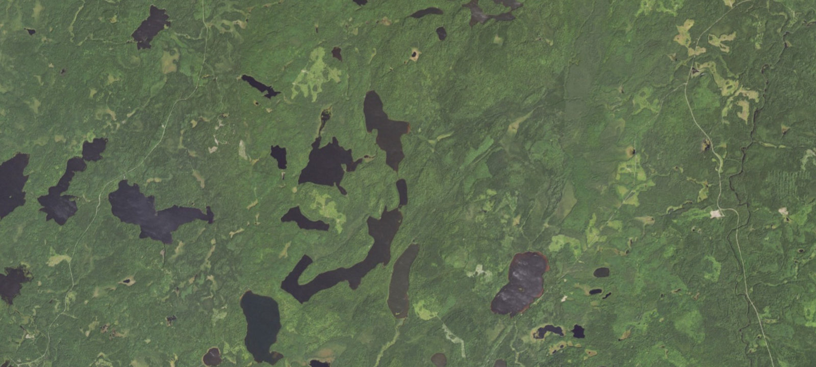Map of Elbow Lake Site 5