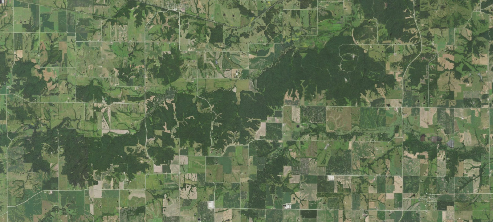 Map of Black Oak Camp