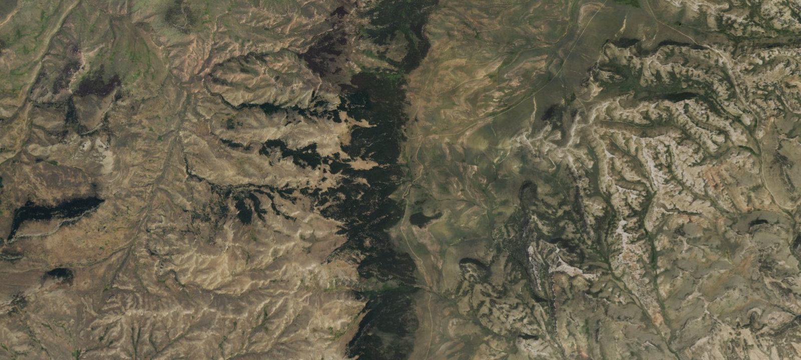Map of Grave Springs Campground