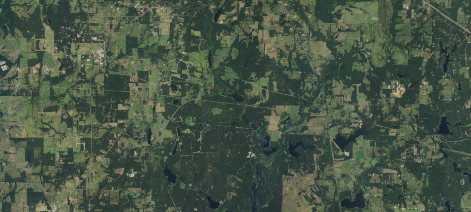 Map of Rams Bluff