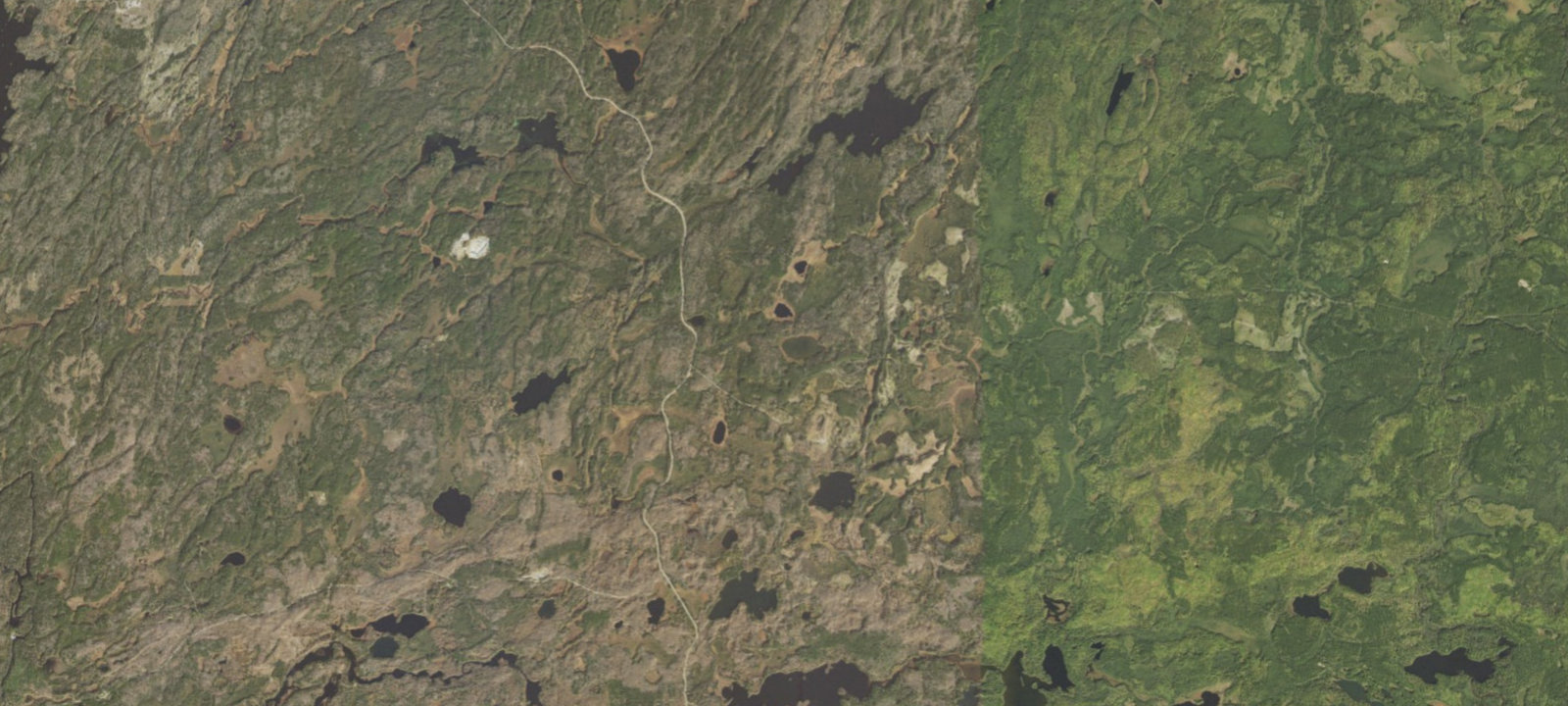 Map of Baird Lake Campsite