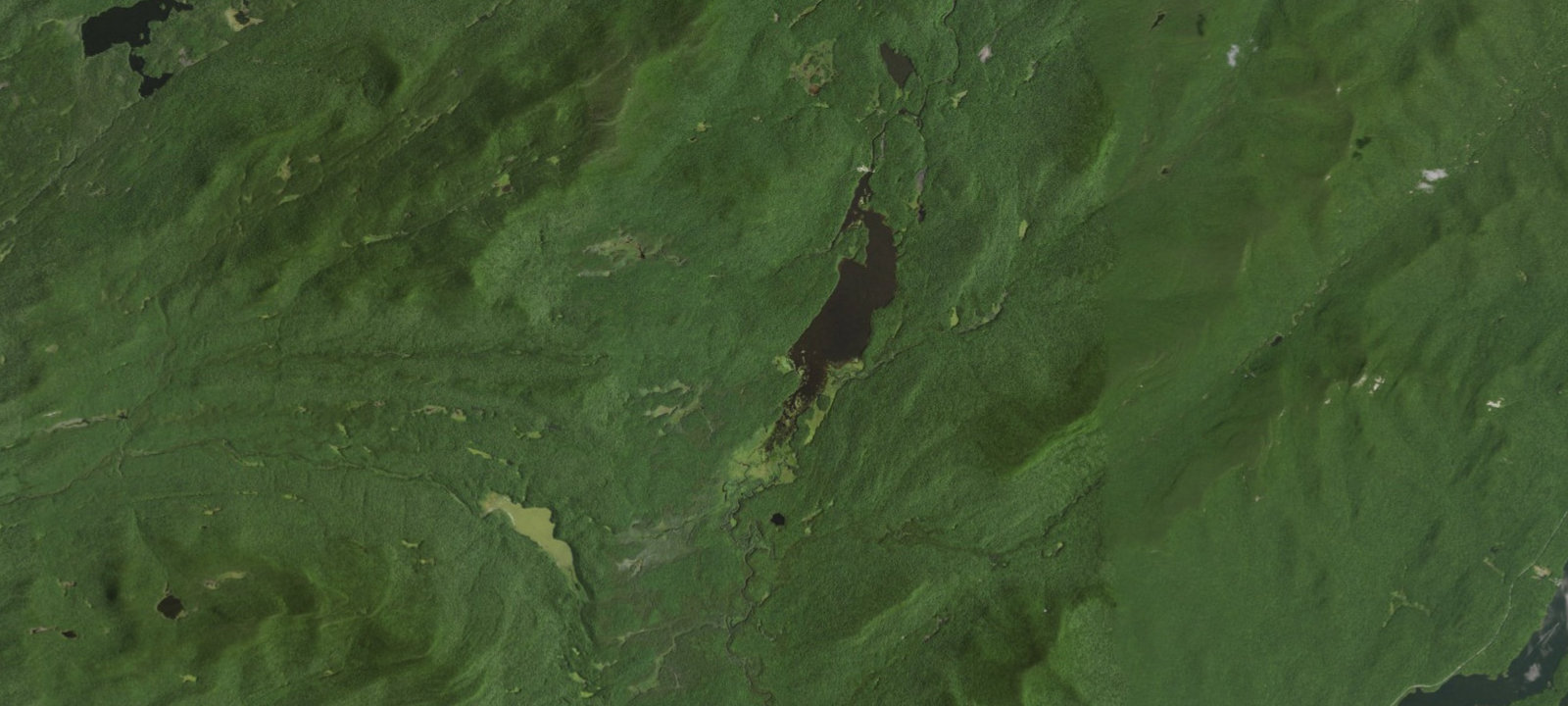 Map of Cedar River Flow campsites