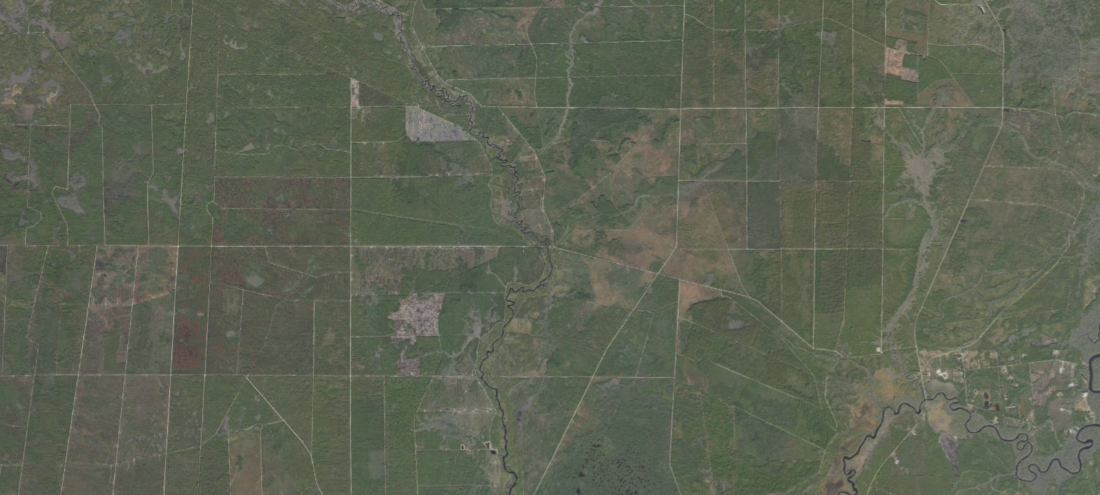 Map of Gully Branch #1