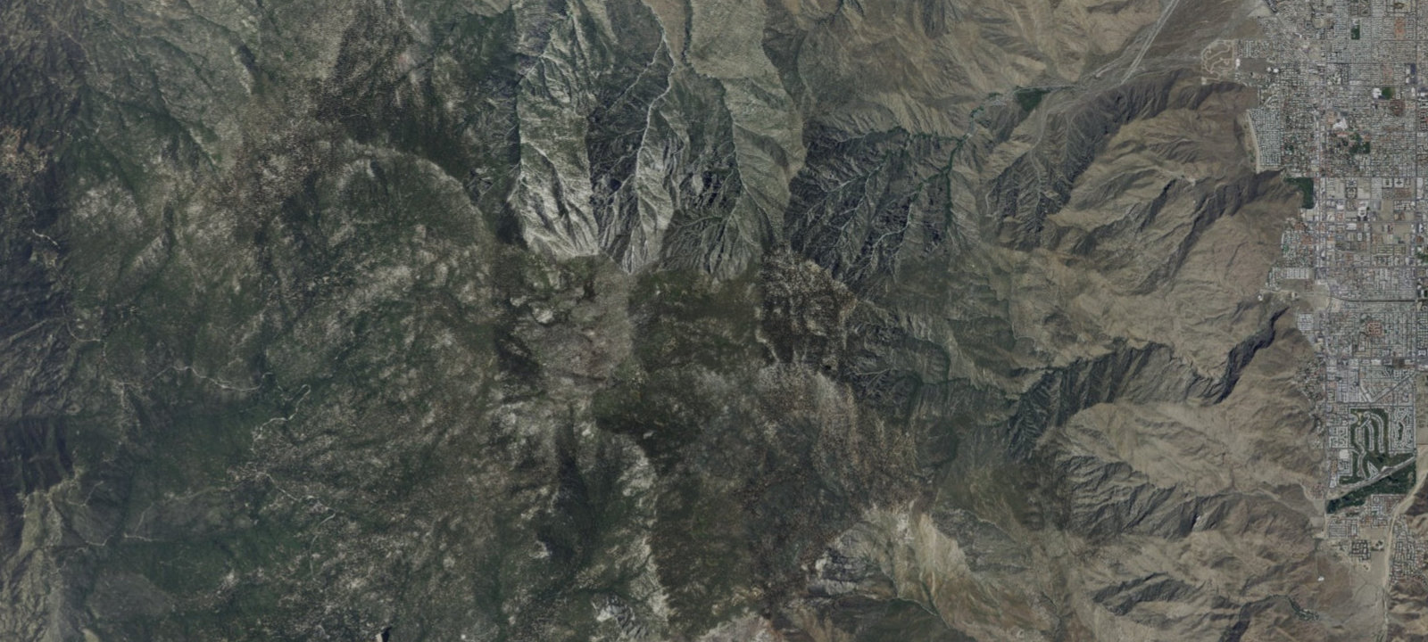 Map of Snowberry