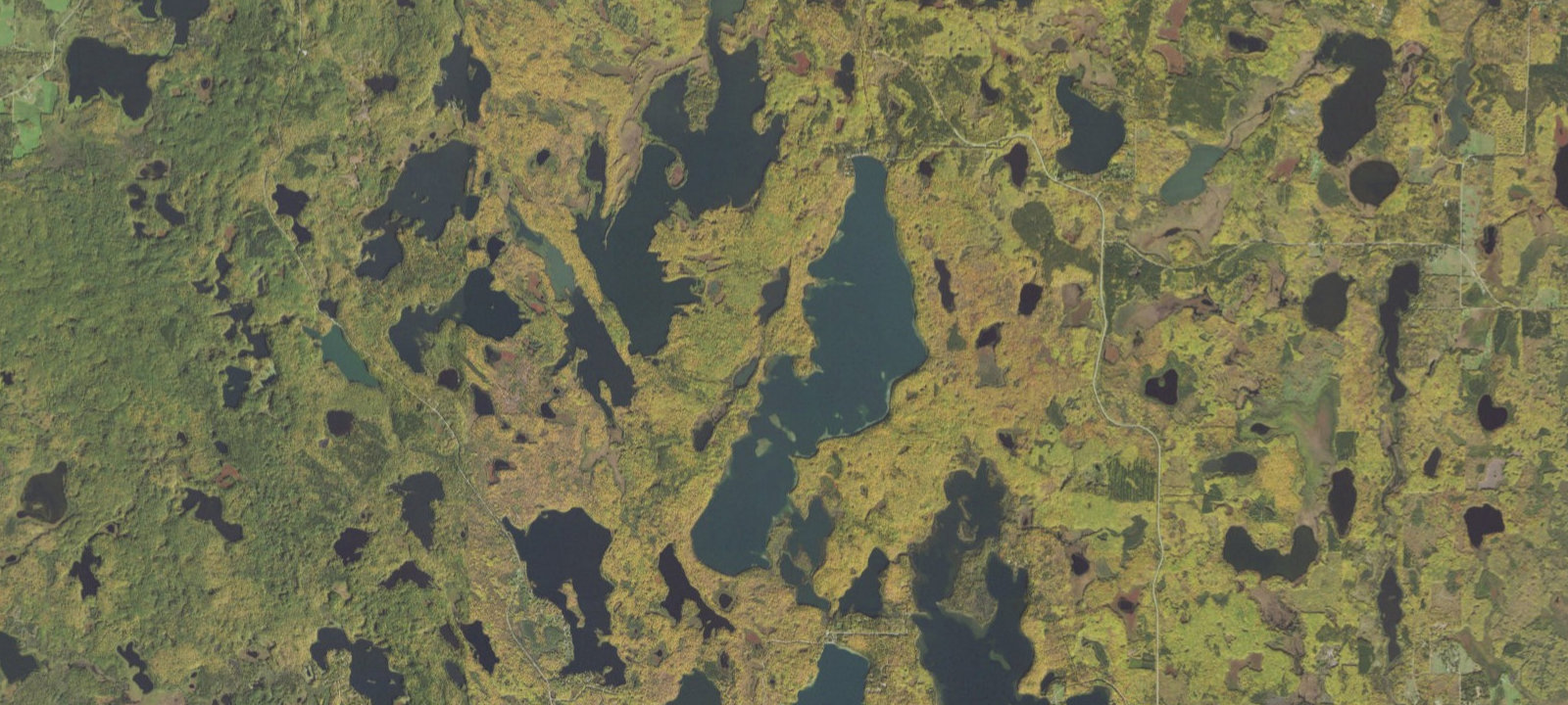 Map of Trout Lake M31
