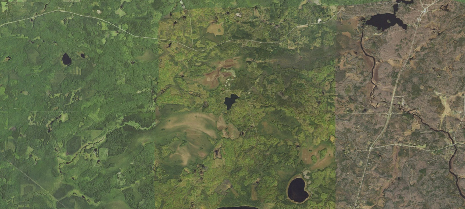 Map of Pfeiffer Site 2