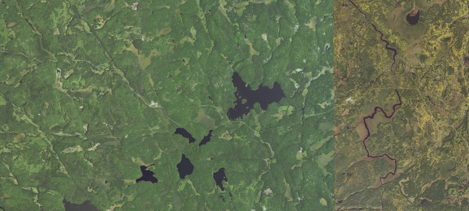 Map of Lake Jeanette Site 1