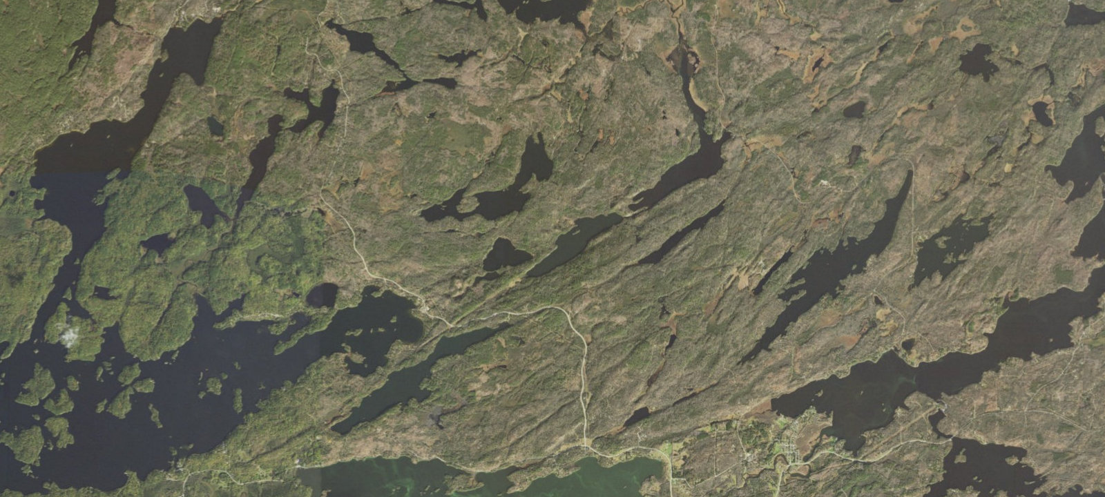 Map of Bass Lake Site 1