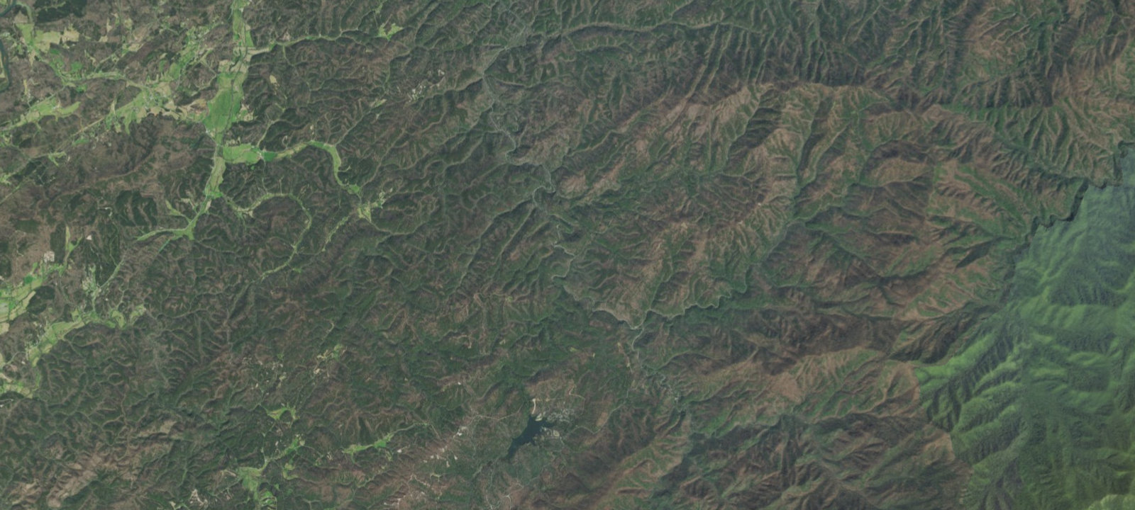 Map of Citico Creek Dispersed Campsites