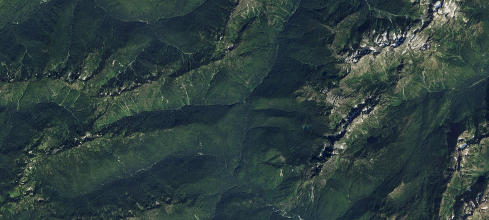 Map of Big Log Camp