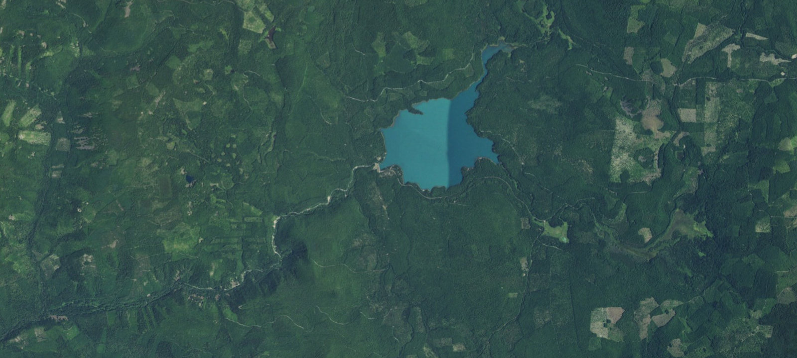 Map of The Cove