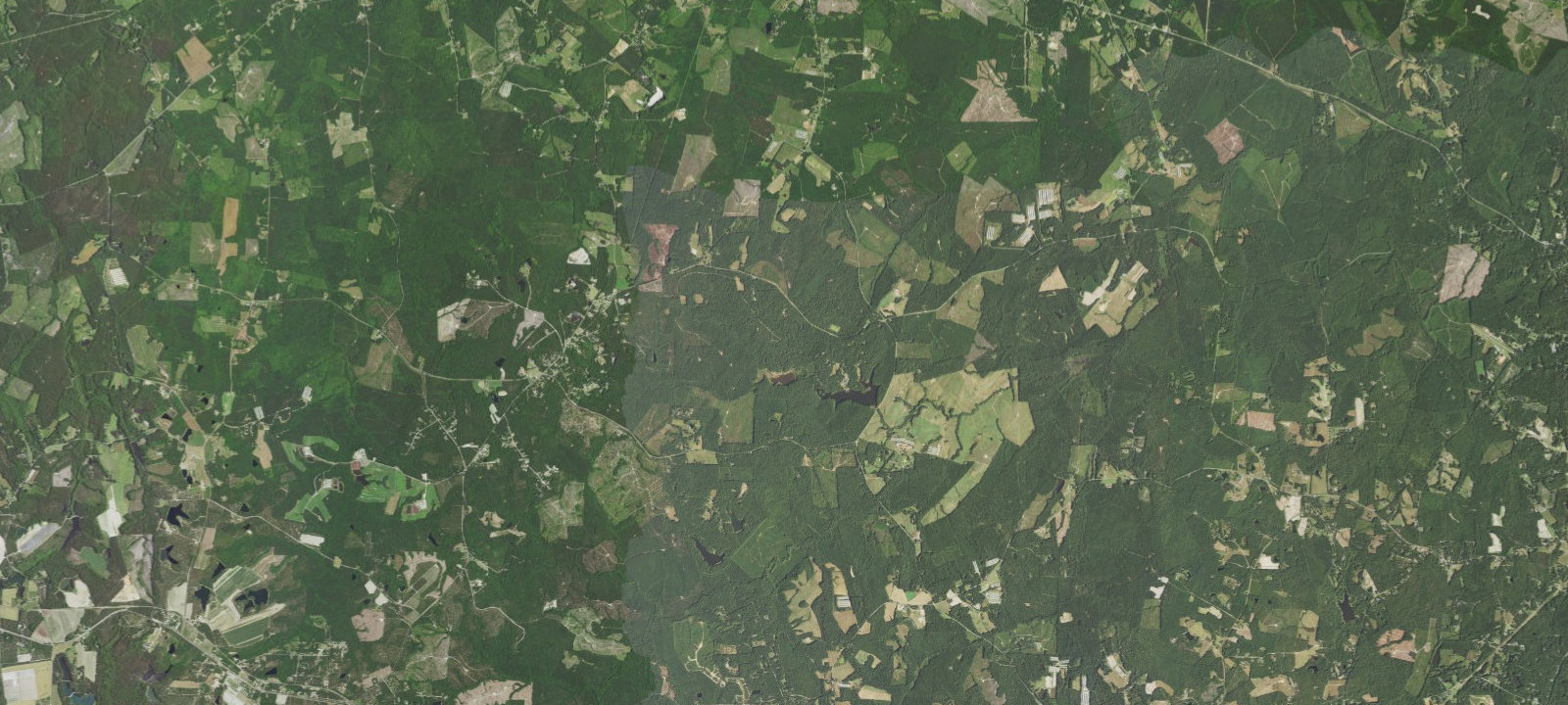 Map of Site 8