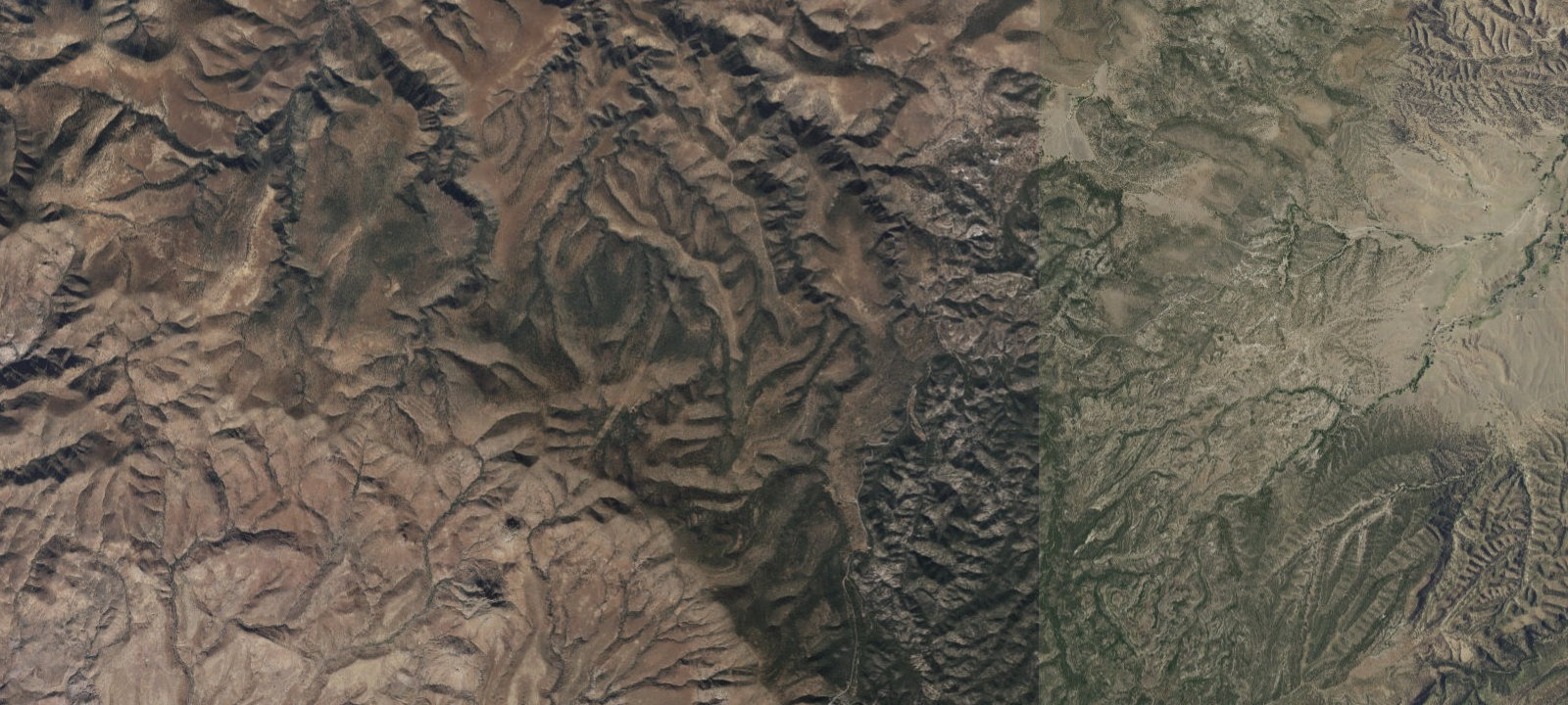Map of Bear Track