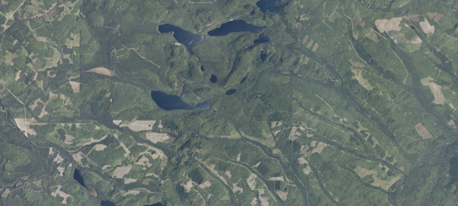 Map of Perch Pond Woodland