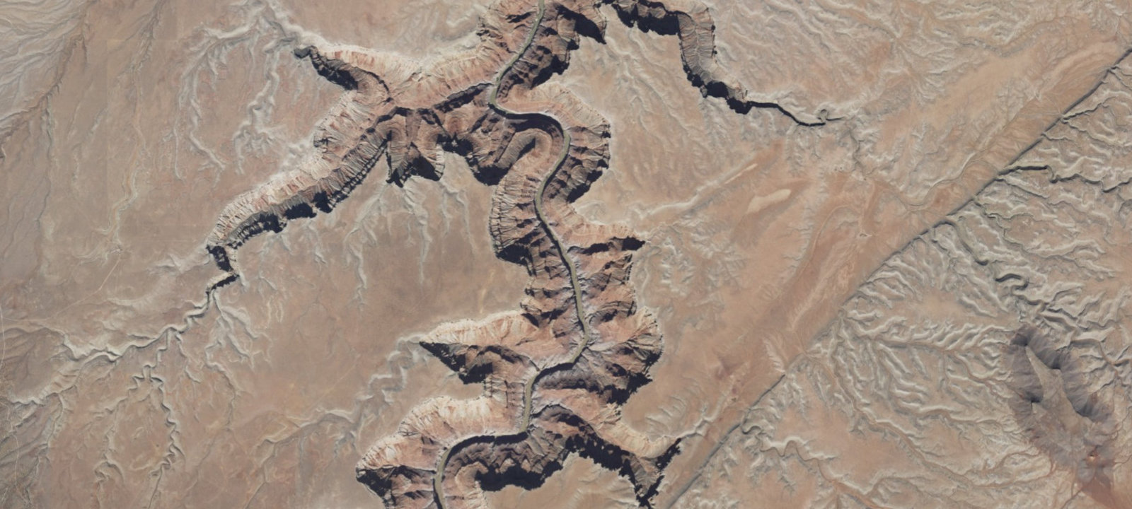 Map of Nautiloid Camp