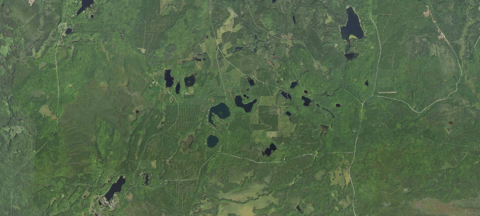 Map of Lyman Lake Camping Area