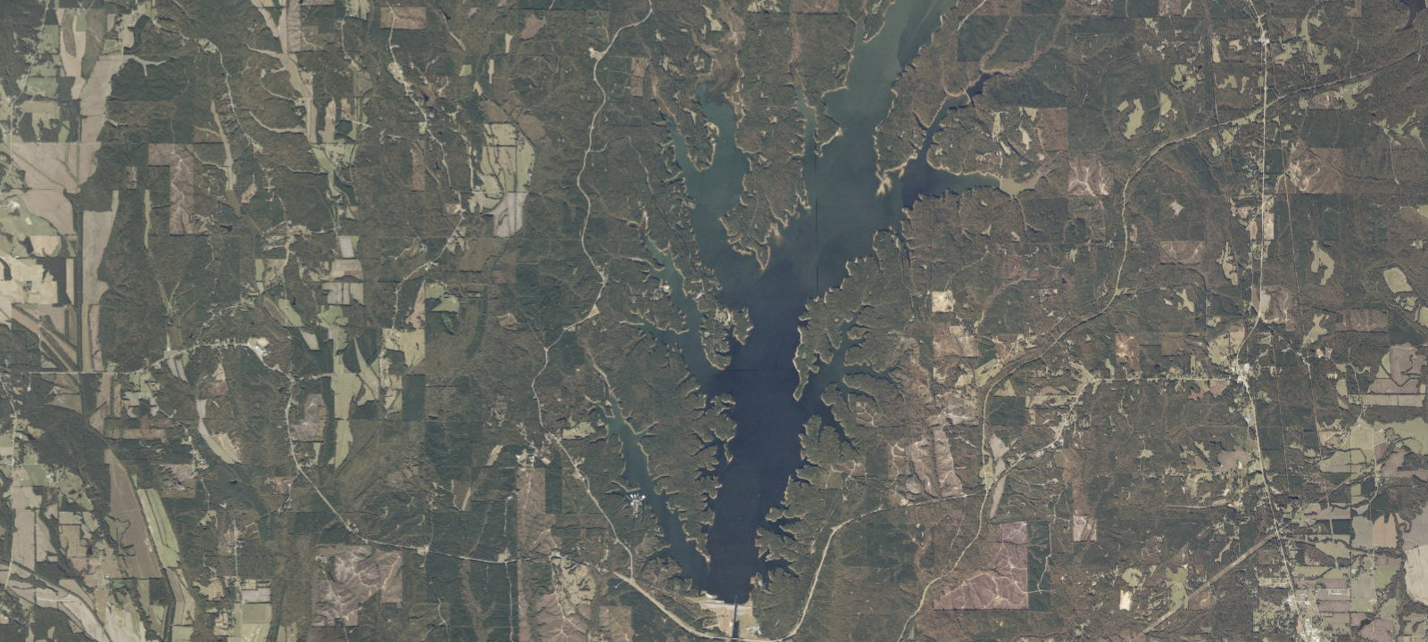 Map of Piney Grove