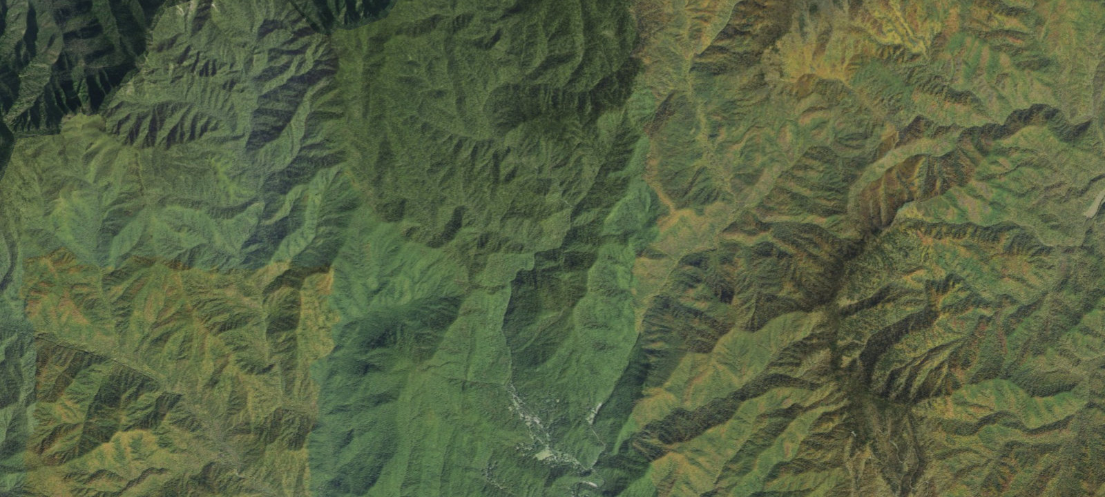 Map of Enloe Creek #47