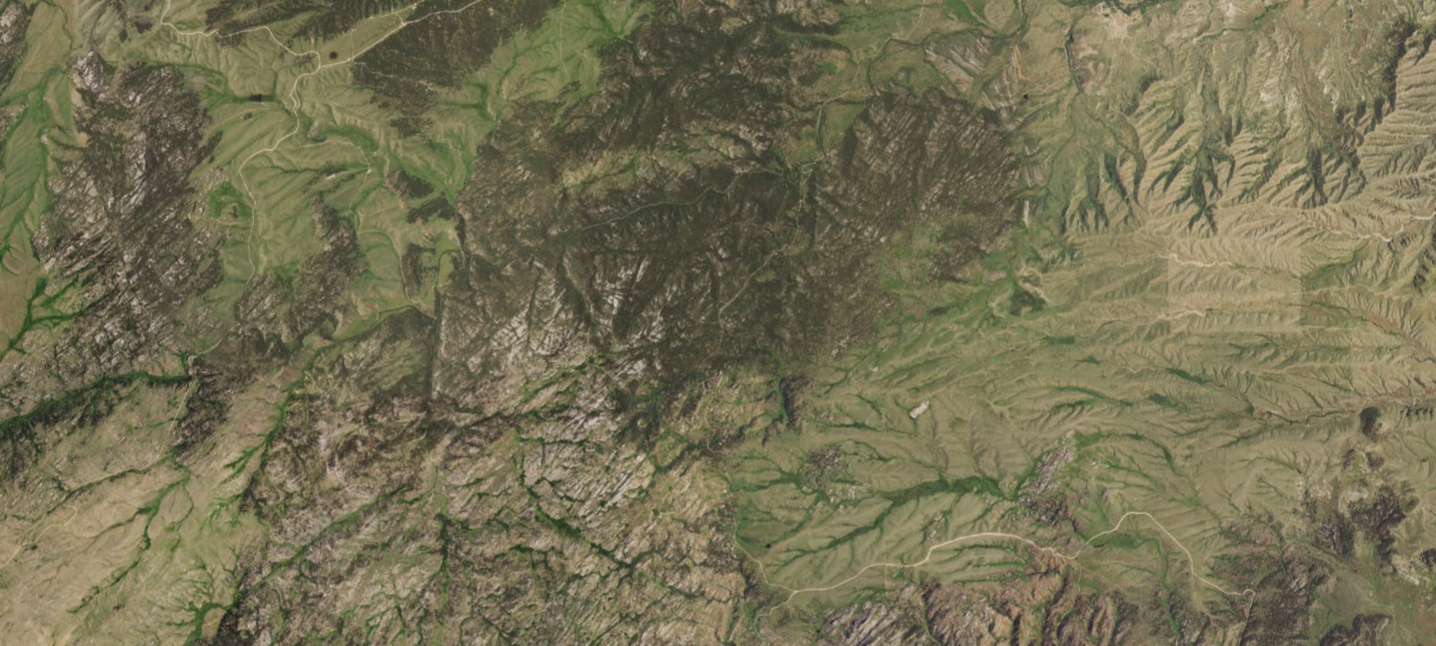Map of Harris Park Camp 1