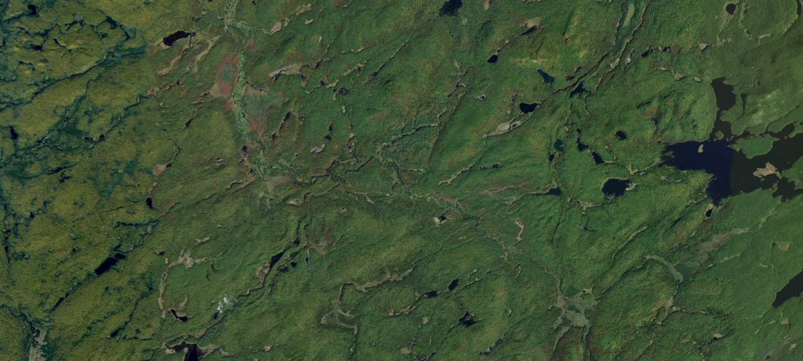 Map of Oswegatchie River Campsite 17
