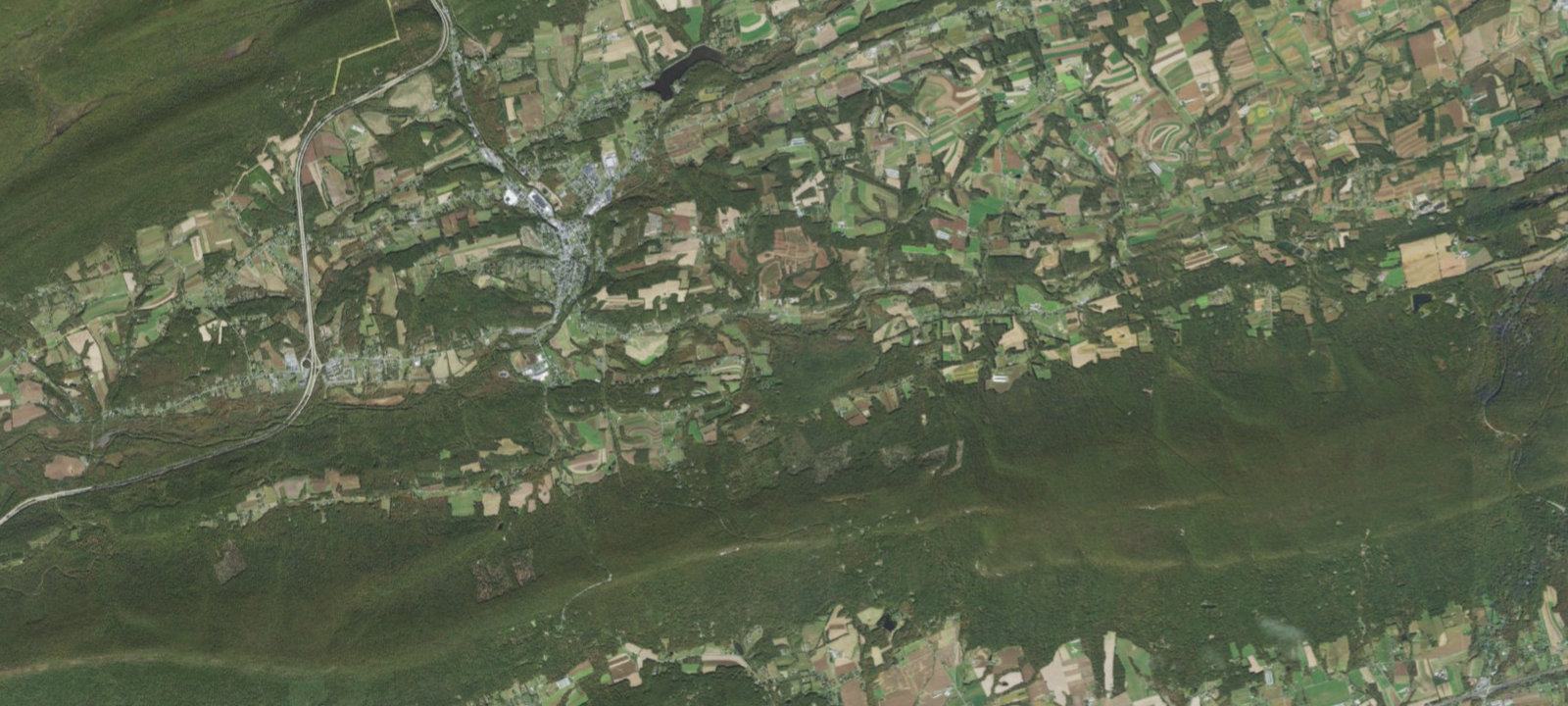 Map of Shady Wood