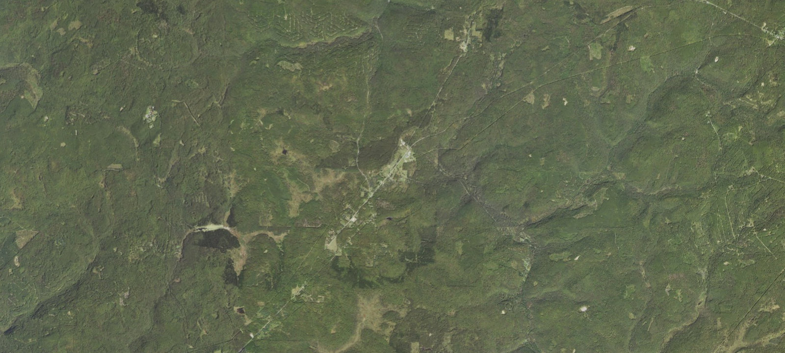 Map of The Forest Lodge & Campground