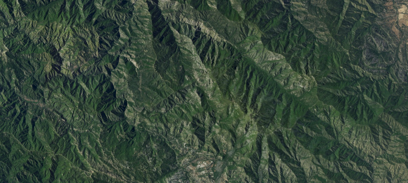 Map of Ant