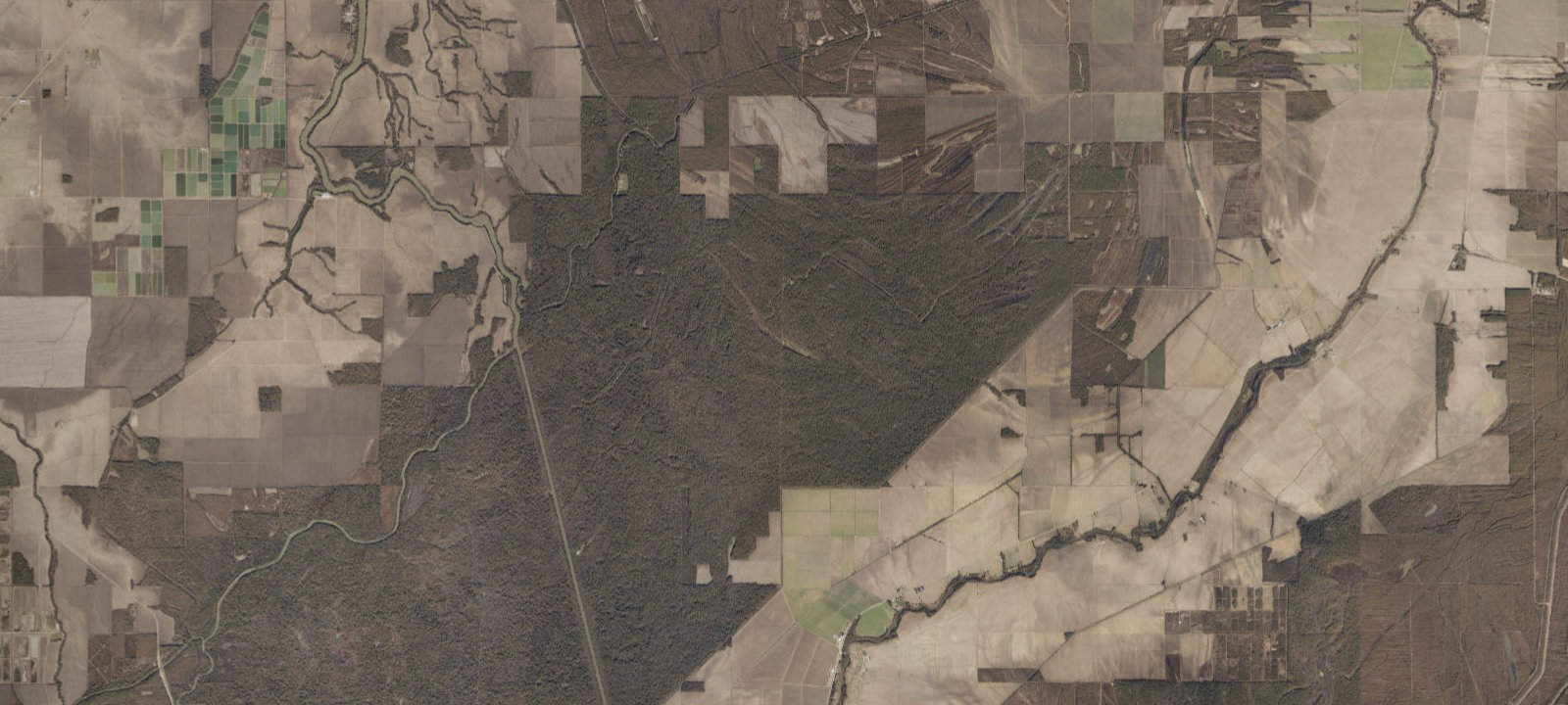Map of Hunt Camp 5