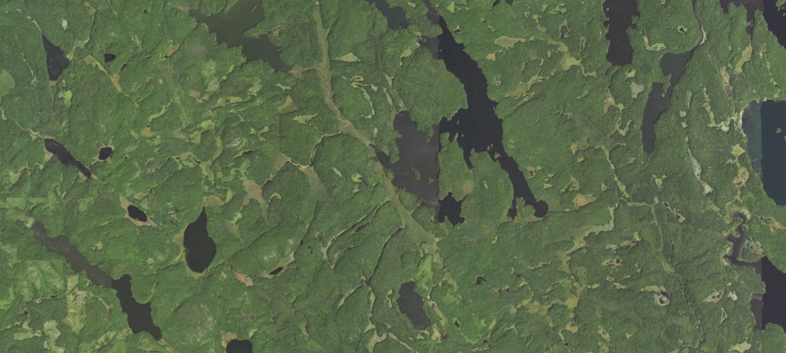 Map of Johnson Lake Site 8