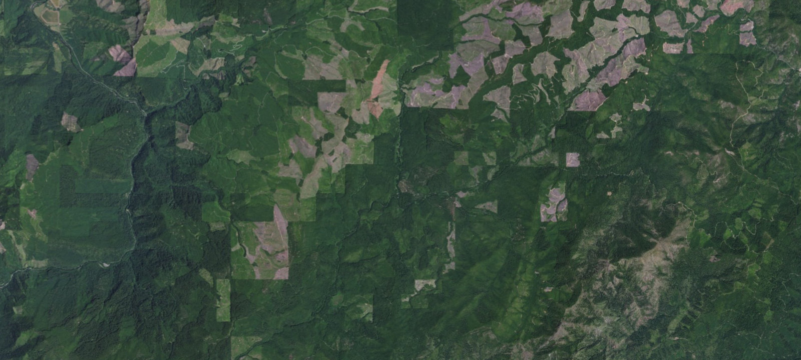 Map of Pioneer Camp