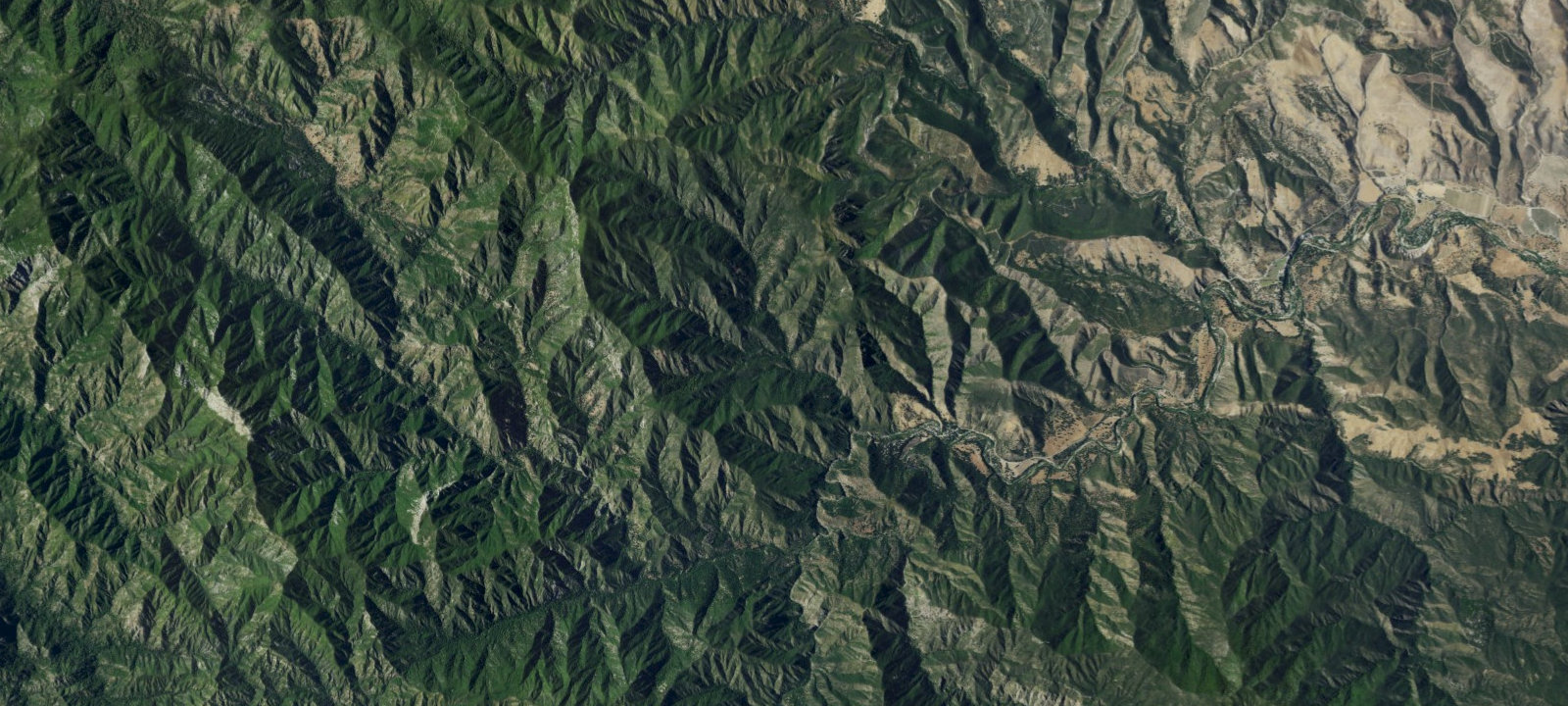 Map of Rocky Creek Camp