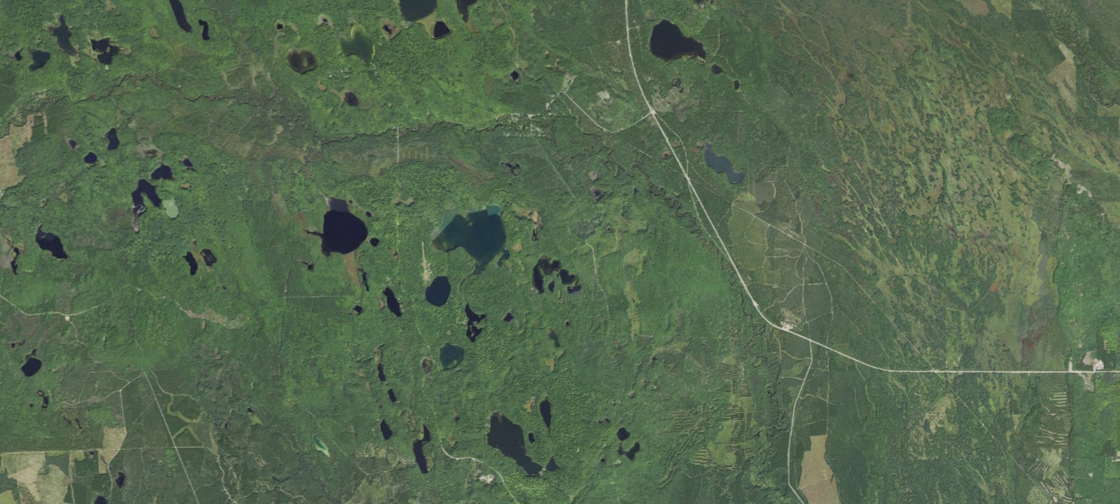 Map of Little Bass Lake Campsites