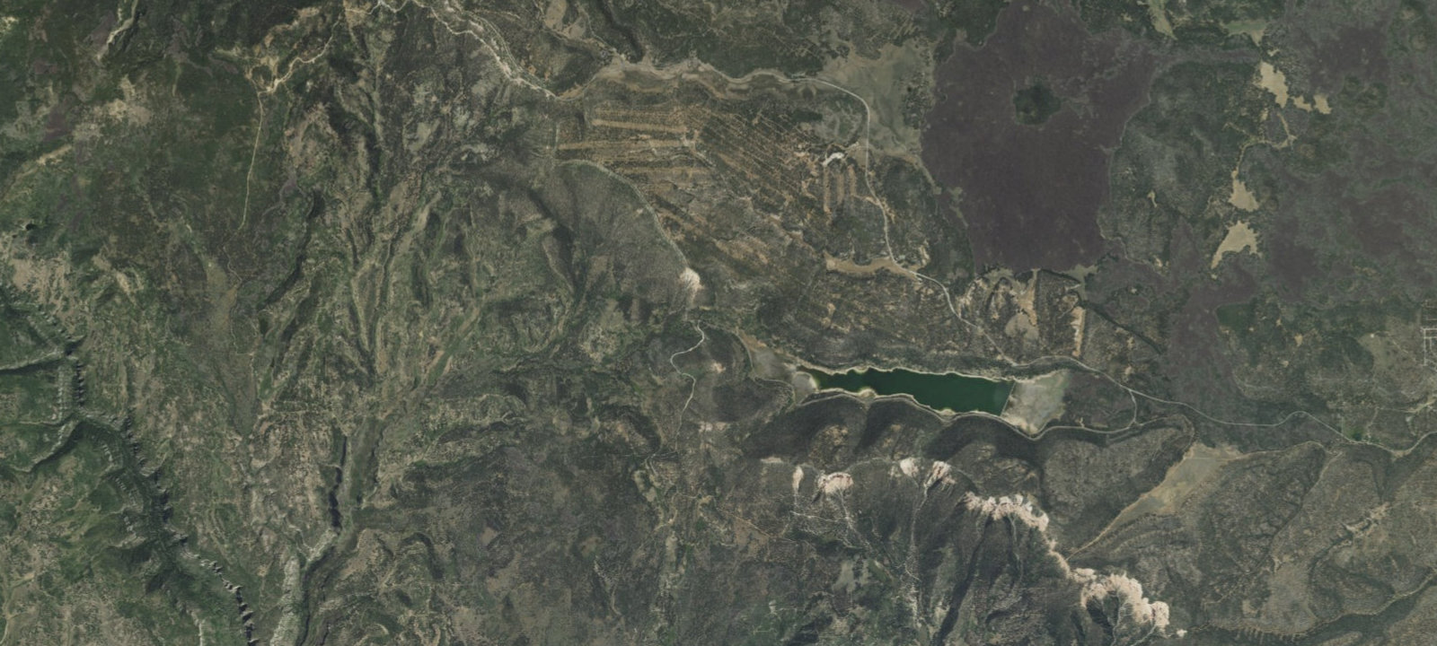 Map of Site 1