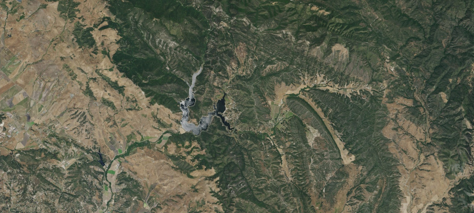 Map of Quail