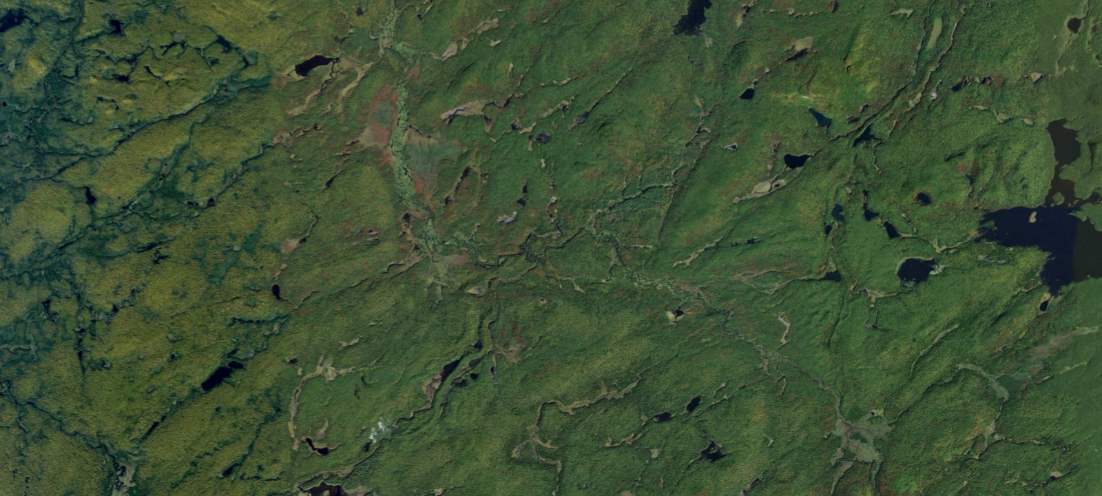 Map of Oswegatchie River Campsite 25